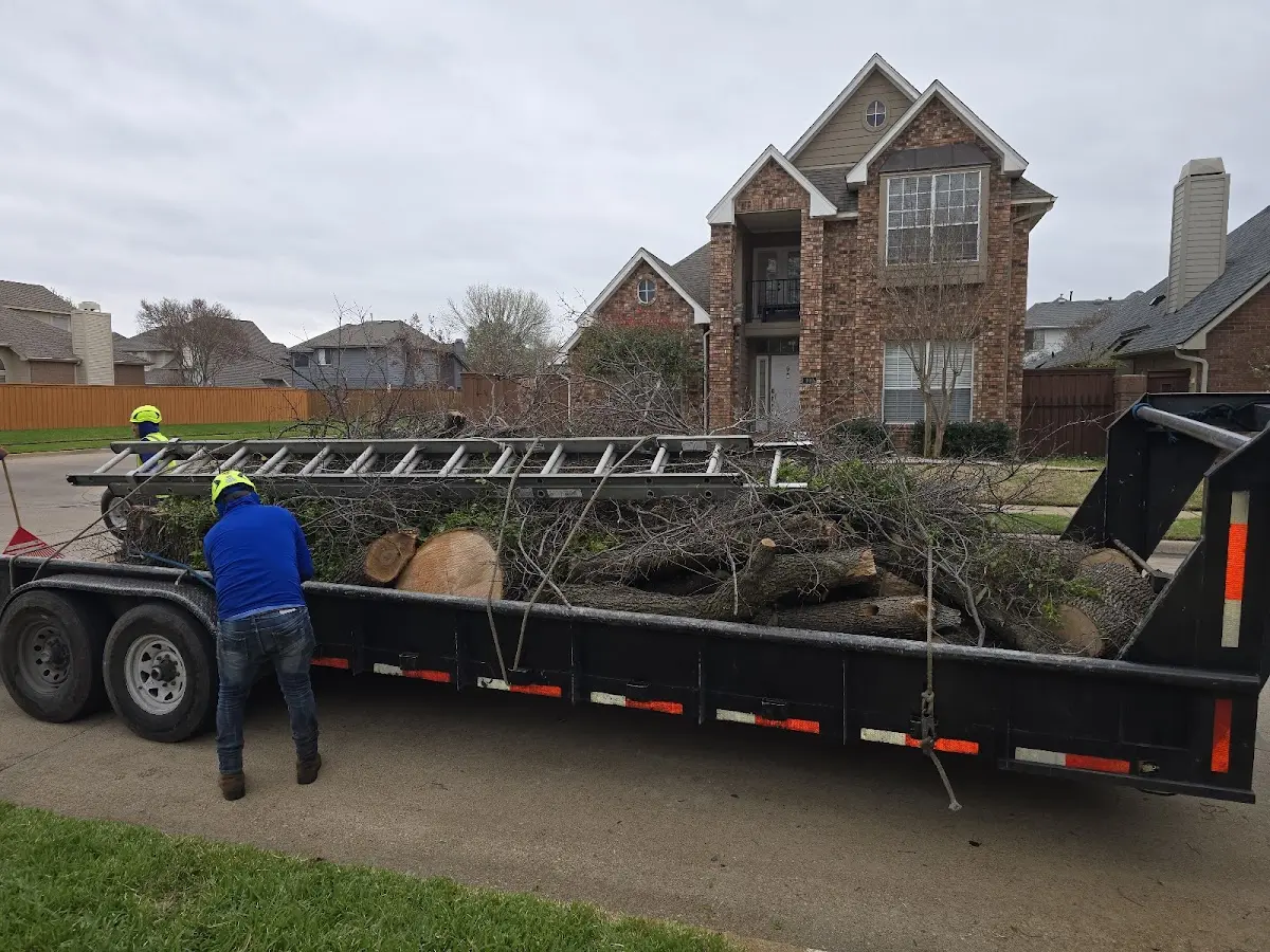 Expert Tree Removal with proper safety equipment in Shreveport